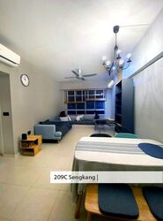 Blk 209C Compassvale View (Sengkang), HDB 4 Rooms #612498221